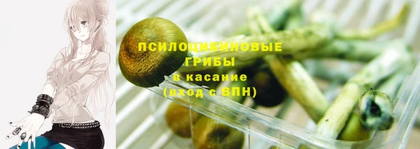 сатива Армянск