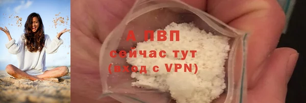 гашик Арсеньев