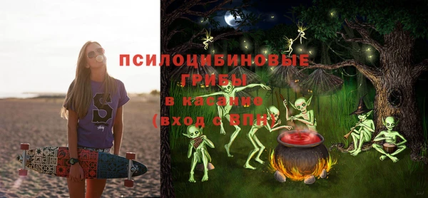 спиды Аркадак