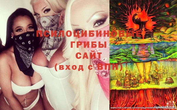 прущие грибы Баксан