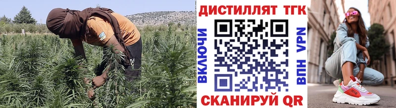 Дистиллят ТГК Wax  где найти   Кубинка 